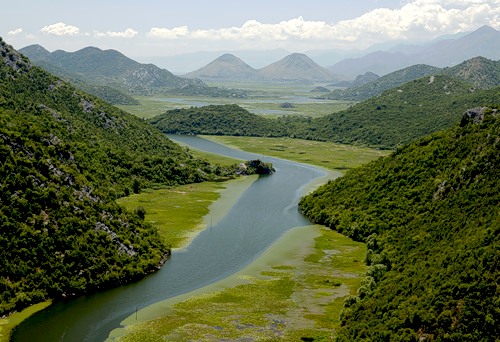 Река Црноевича, впадающая в Скадарское озеро в Черногории. Фото: Яндекс.Фотки, Vlad_vv